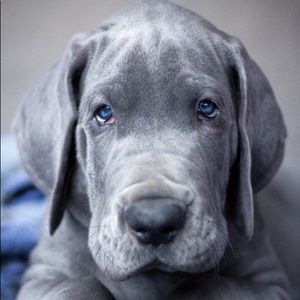 Meet your Posher, Suzanne